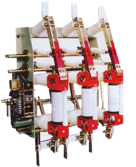 FZRN21-12D、FZN21-12D、FZN21-12戶內(nèi)高壓真空負(fù)荷開(kāi)關(guān)